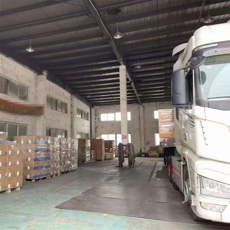 庐阳区霍尔果斯：物流专线的多元货运新体验