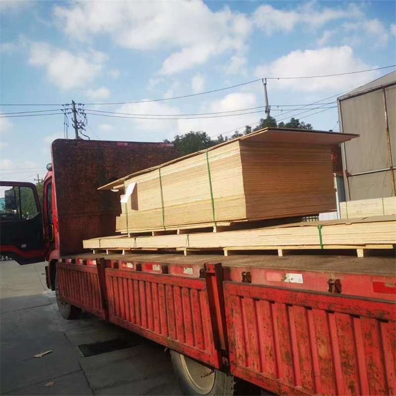 庐阳区桥西区物流专线的多元运输世界