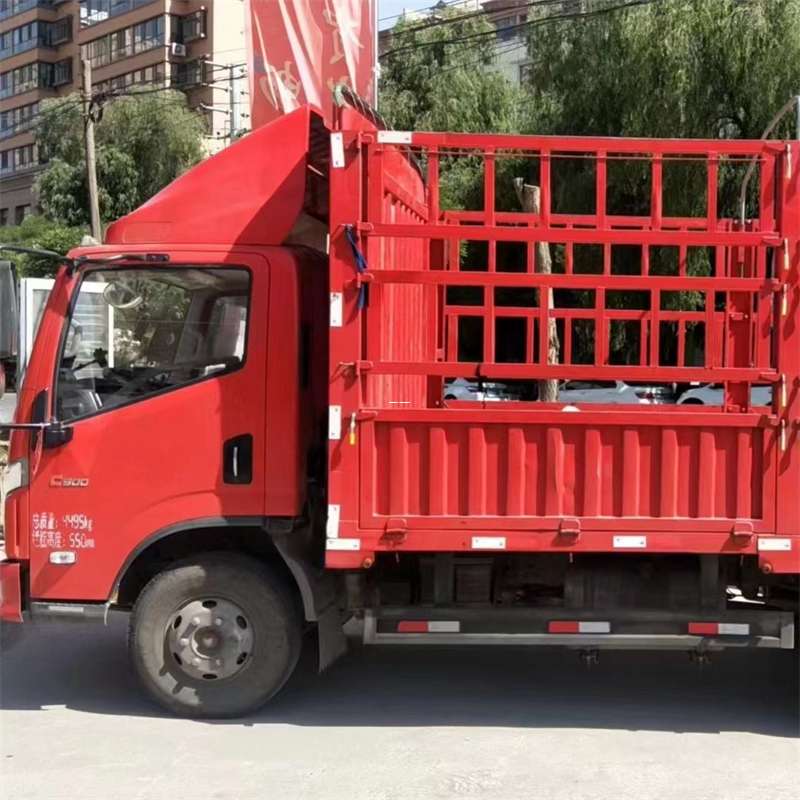 庐阳区探秘西乡县进仓物流：专线直达的多元货运之旅