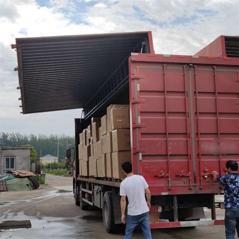 庐阳区扎囊县：物流专线的高效货运之旅